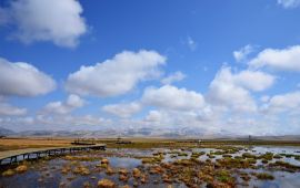 阿坝若尔盖花湖天气预报,历史气温,旅游指数,若