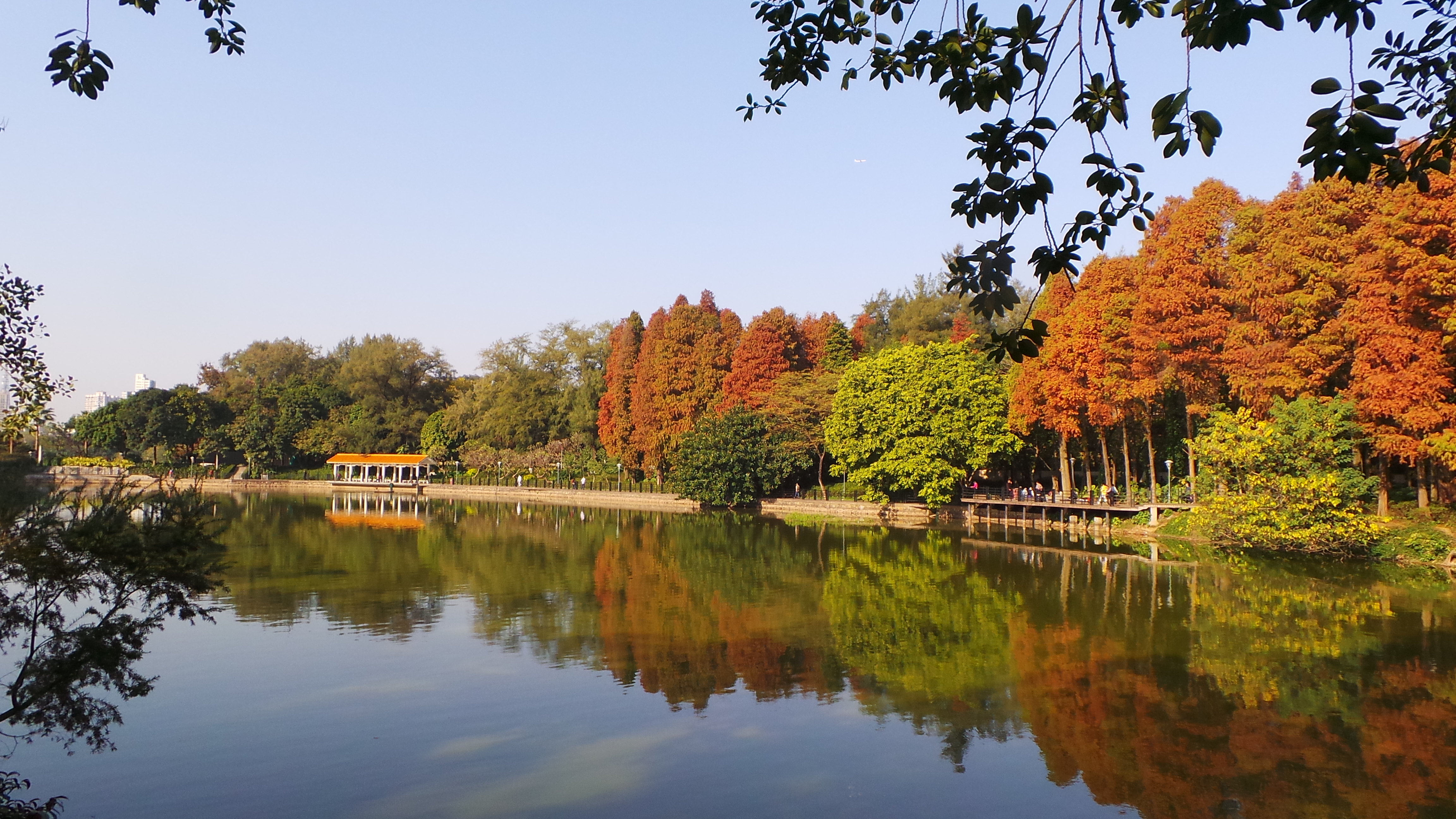 广州麓湖公园星海园图片