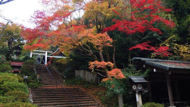 日向大神社