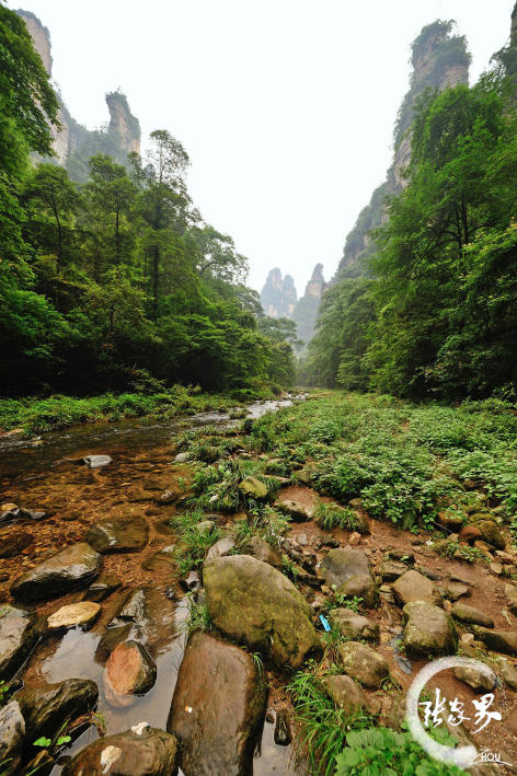 金鞭溪大峡谷 携程网