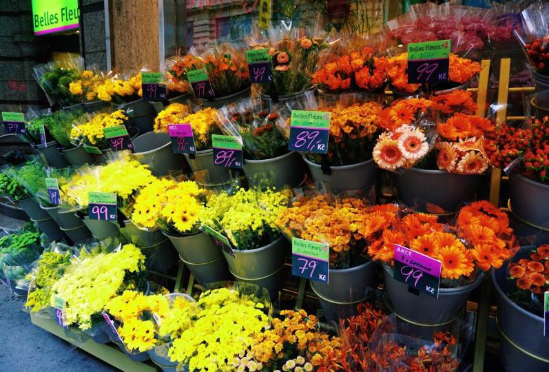 路边超市卖花的,还按着色谱摆的,一眼望过去真想全部收了. 布拉格