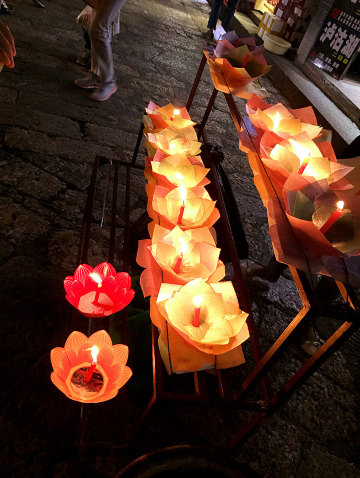 初秋,云南的邂逅一一丽江,泸沽湖,大理双廊,腾冲银杏村之美好时光