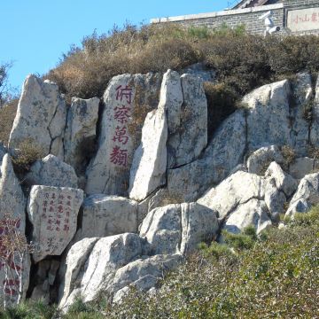 为了散文《泰山极顶》-而登泰山