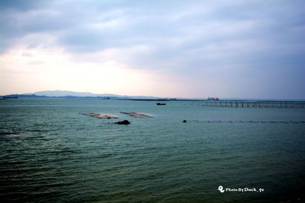 感謝大閩網,感謝小嶝休閒漁村,感謝給我們美麗行程的小嶝島!