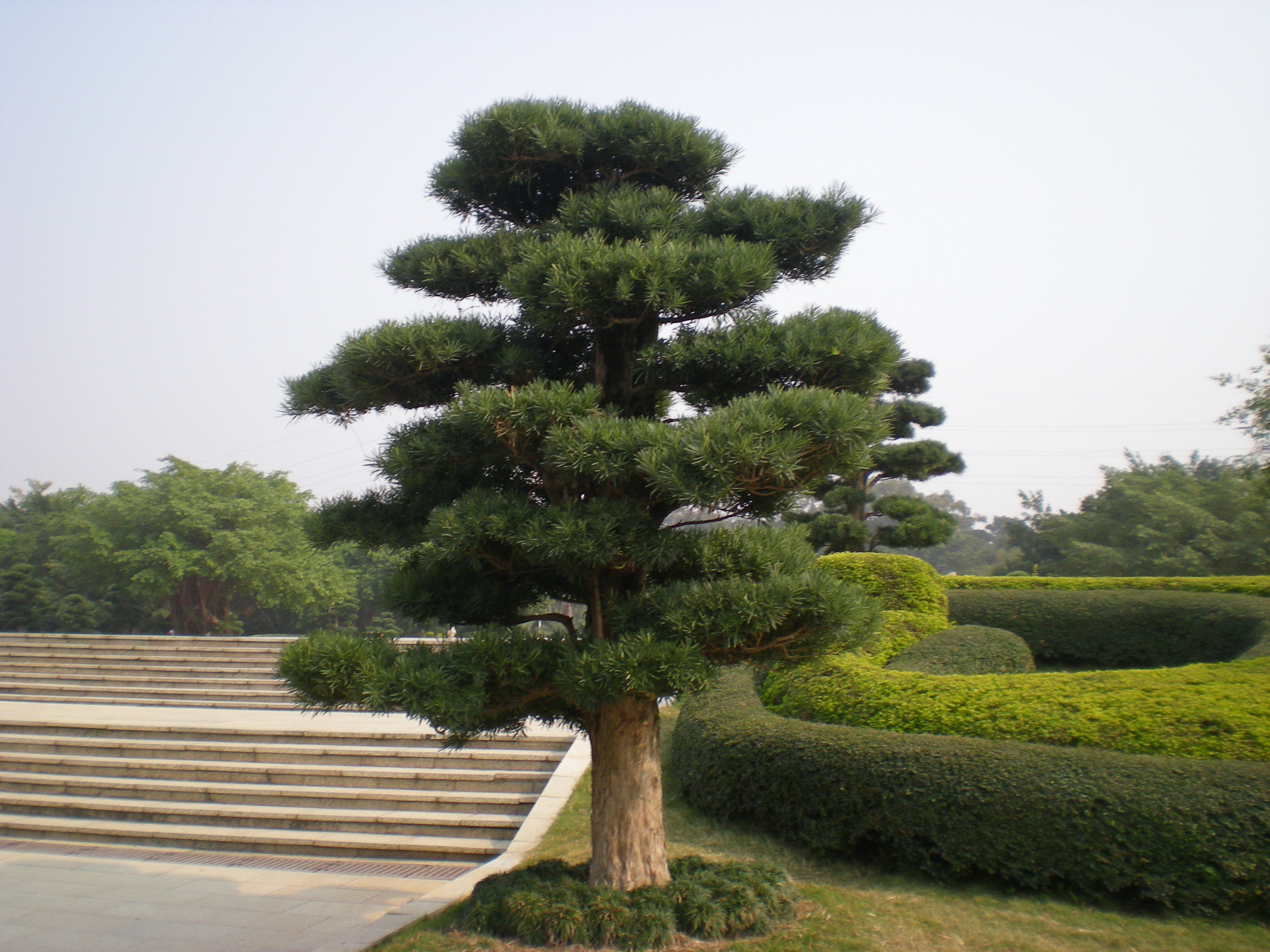 5a篇#南宁市青秀山旅游区