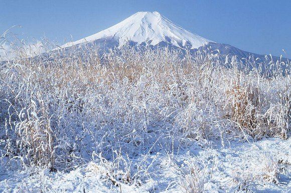 冬季到韓國旅行,除了賞雪,滑雪也是一項很有意思的活動.