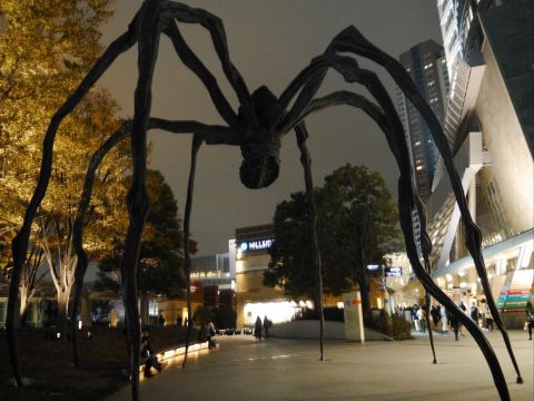 这只巨型蜘蛛可是六本木的代表雕塑! 六本木之森美术馆