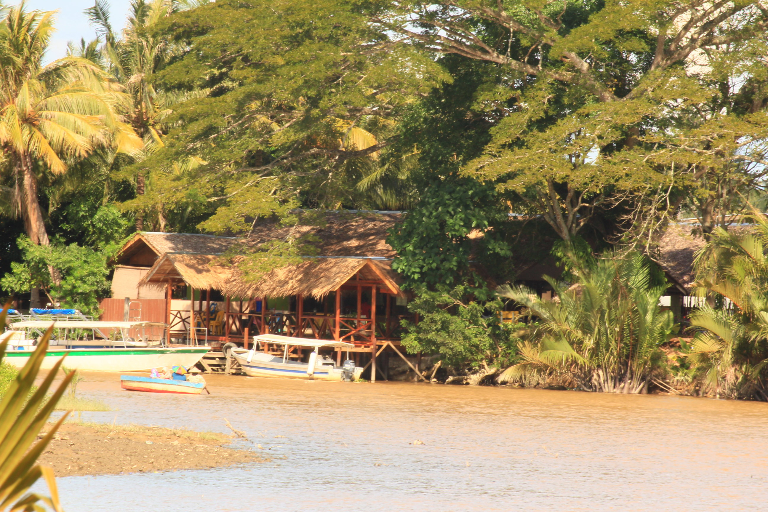 马来西亚沙巴游---红树林
