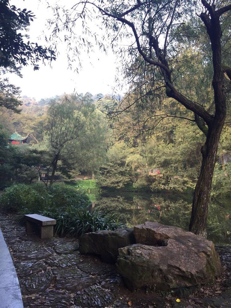 岳麓山鸟语林