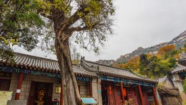 太清景区+仰口风景区 一日游【无需换乘景交车