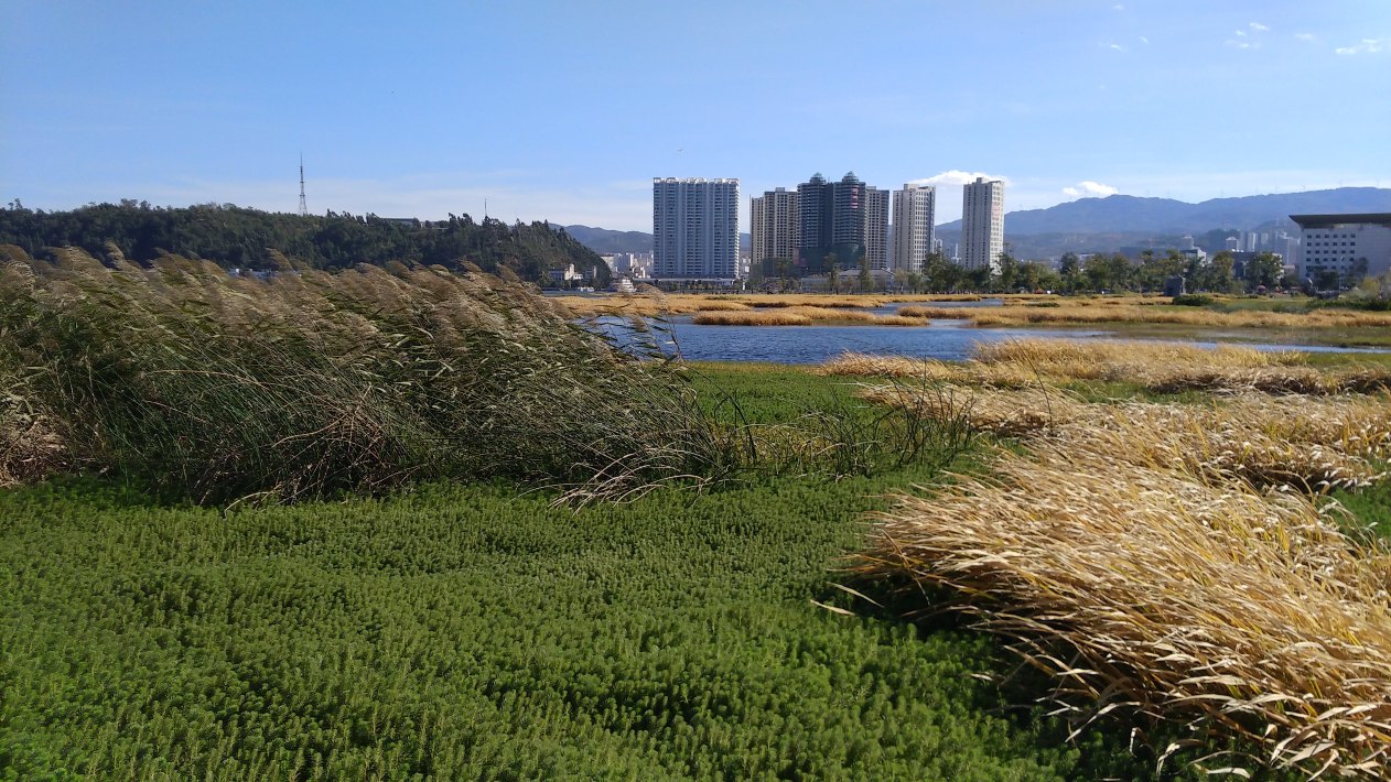洱海月湿地公园
