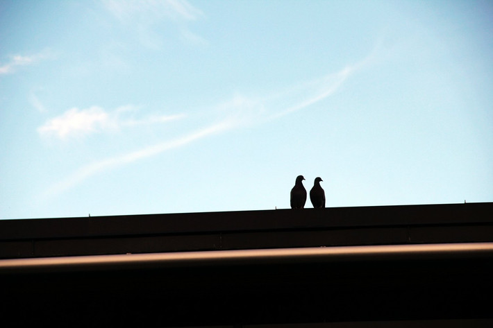 北欧四国十天初探