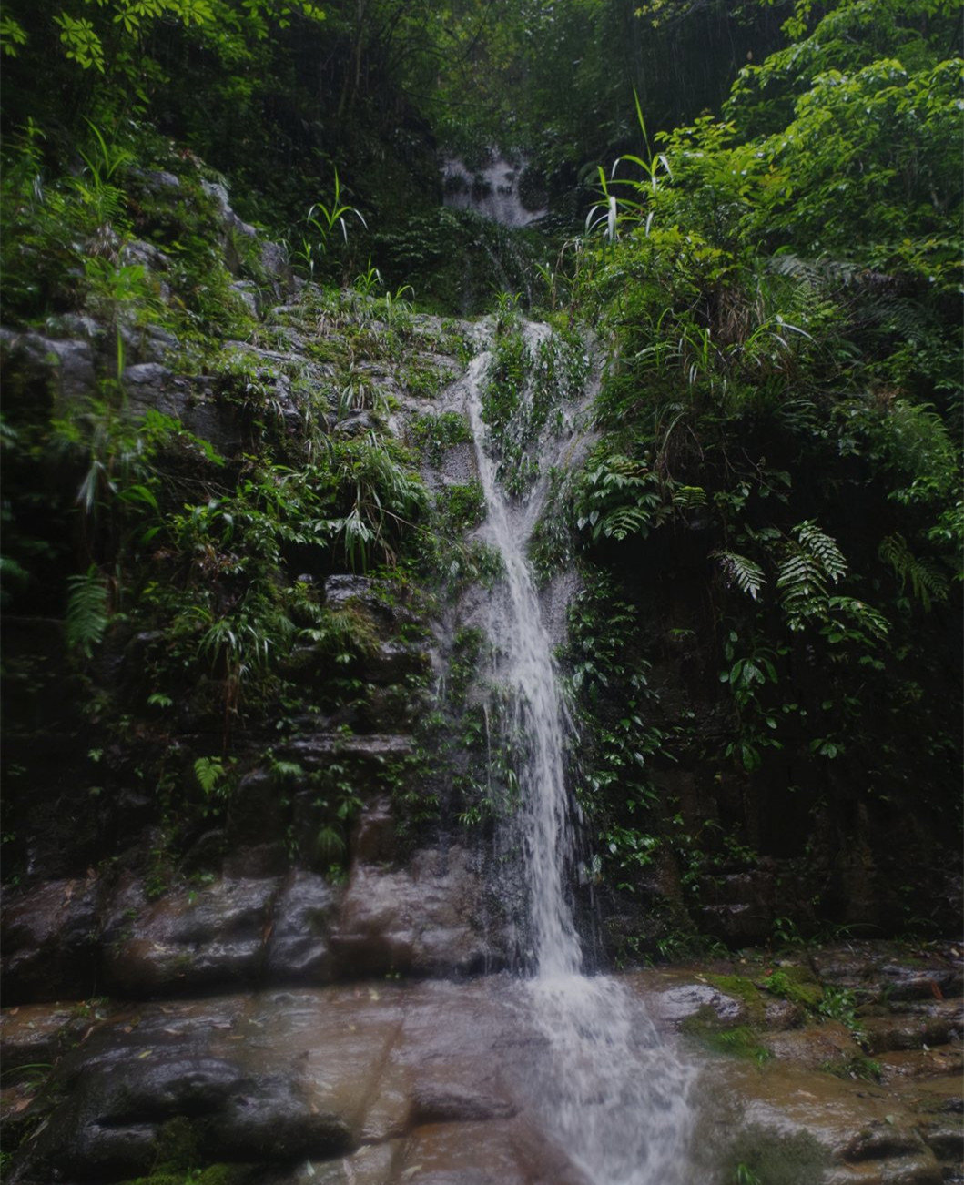 酉阳笋岩大峡谷