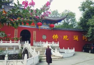 合肥景点排名_合肥景点(3)