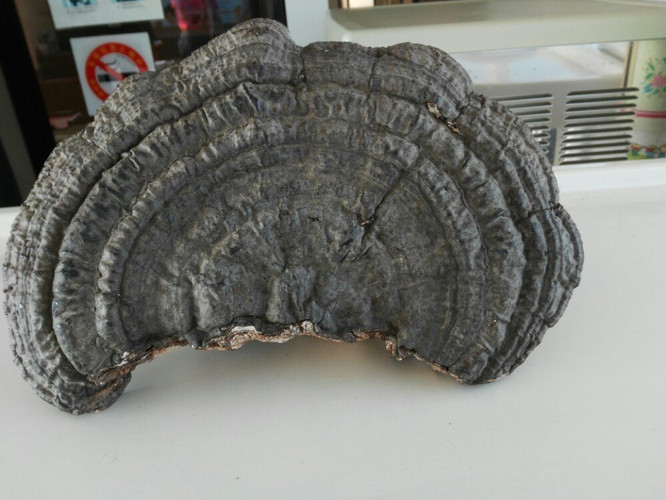 台湾~一个解不开的情愁