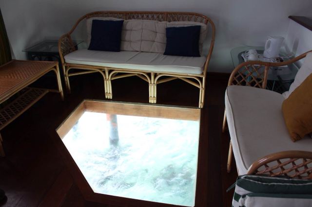 客厅地板上的玻璃,方便看鱼