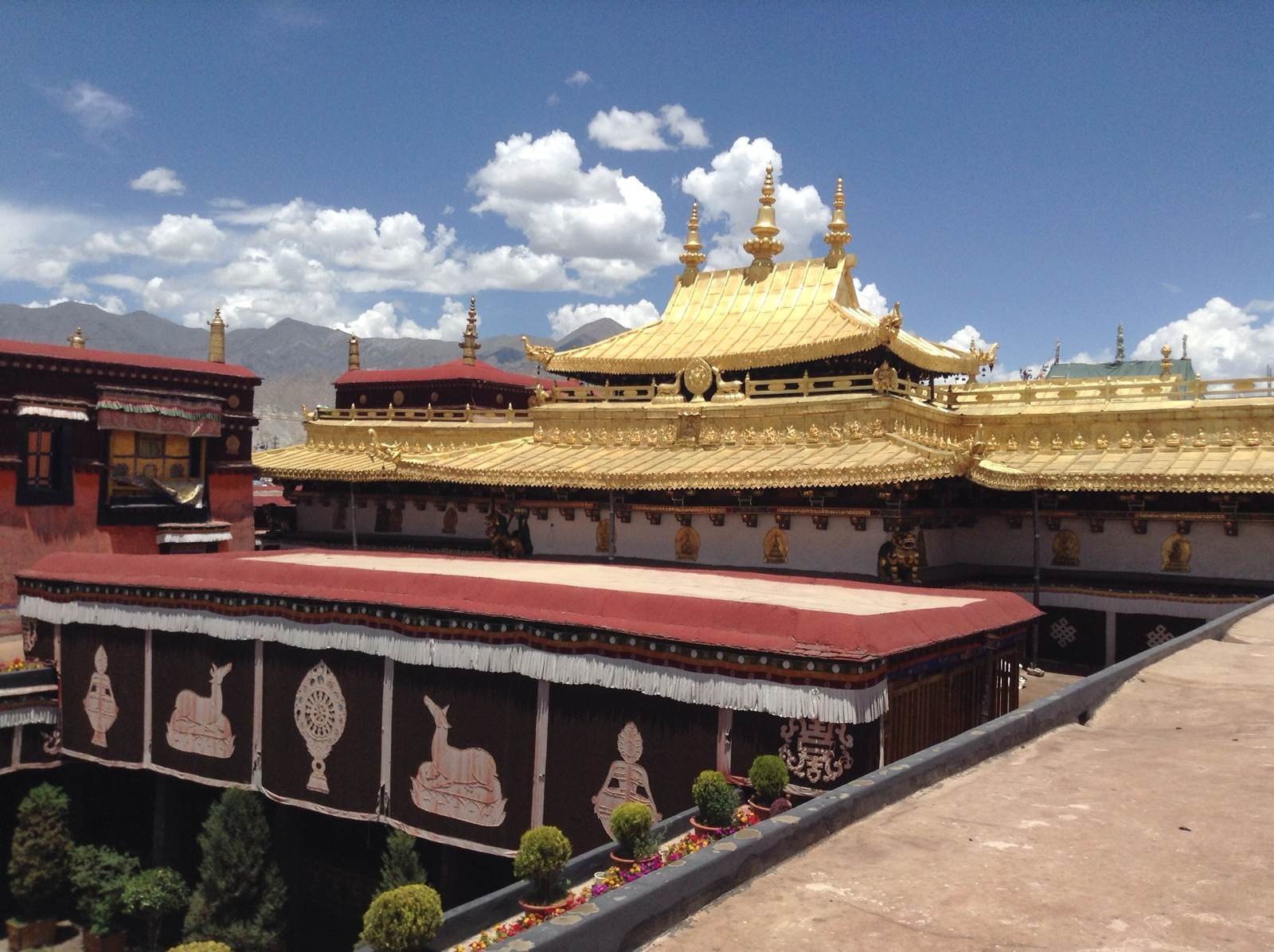 相傳大昭寺是山羊們駝土而建,最早的位置是一個大湖 大昭寺