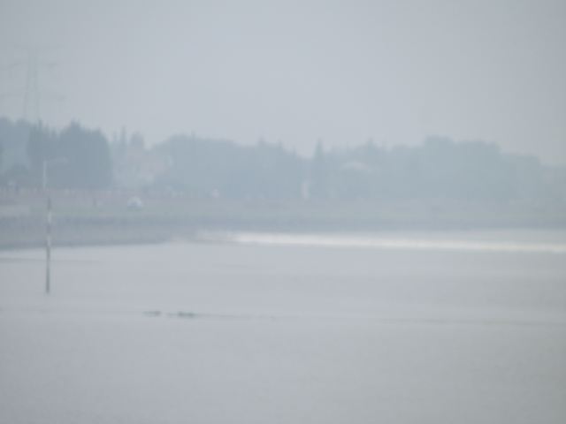 海宁游玩攻略海边,海宁游玩攻略