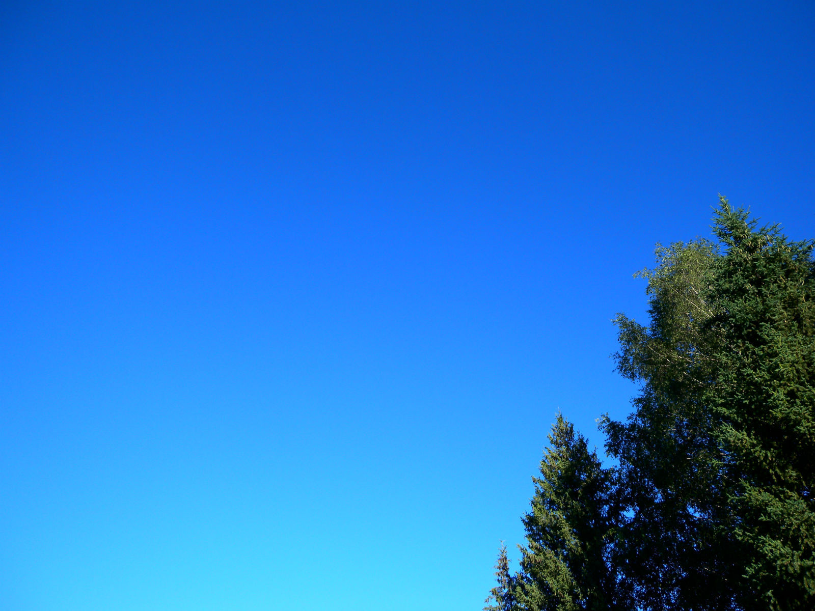 神的自留地—北疆行