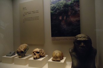 走进历史之国家博物馆古代中国-远古时期 - 北