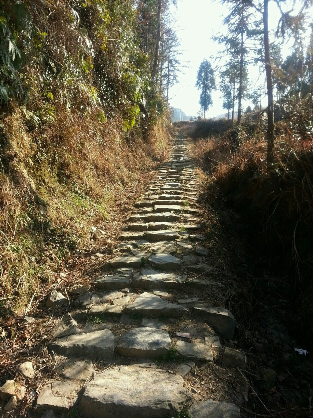 放下行李后,老胡很热心,一路带我到这里,告诉我沿着这条山路向上