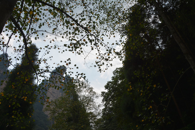 树上有个好地方完整版带字幕 CggYHVXi7KSASBQoADglbxHyTNs930_C_671_10000_Q90.jpg