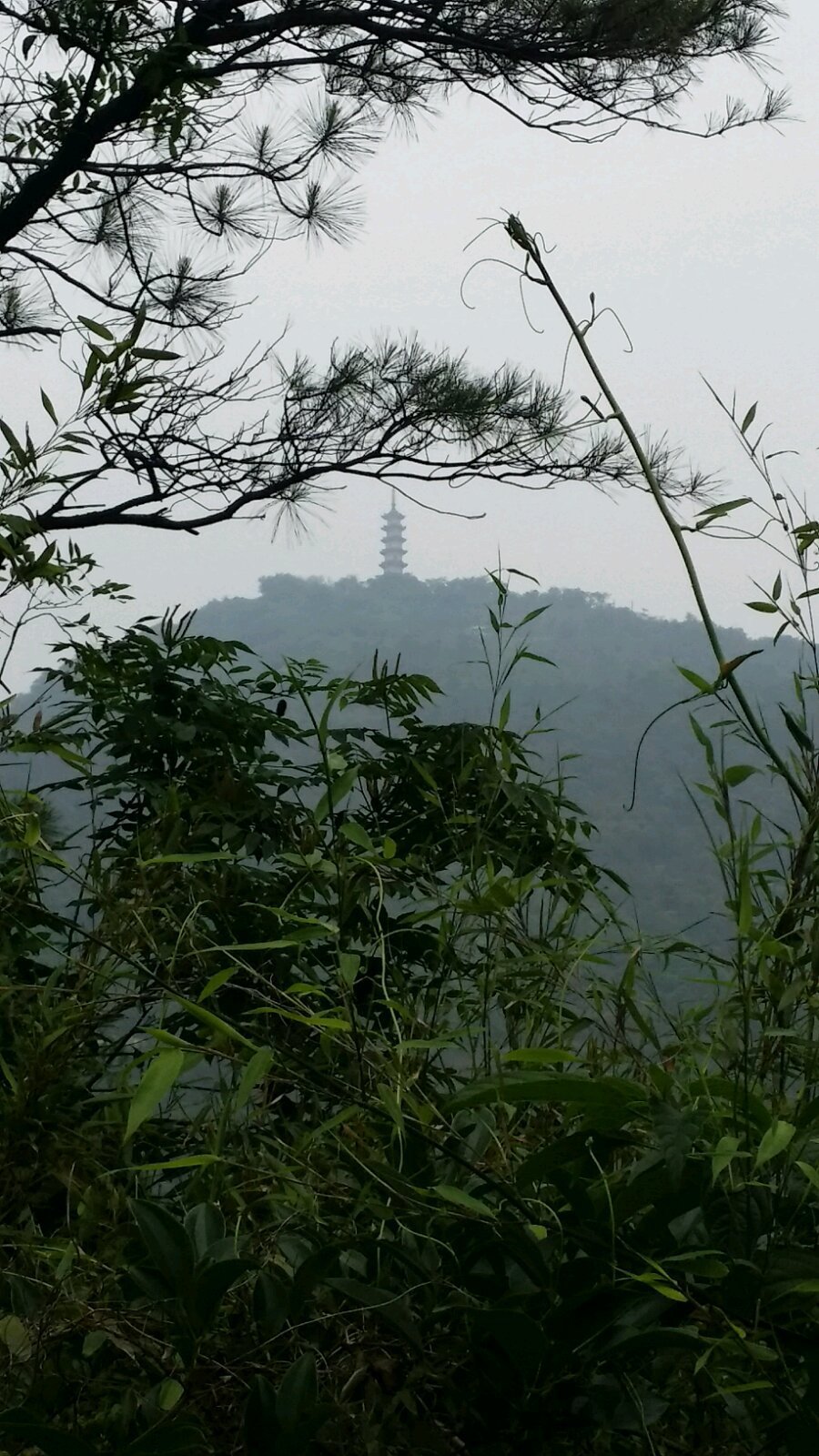 落入凡間的道場山(湖州萬壽寺)