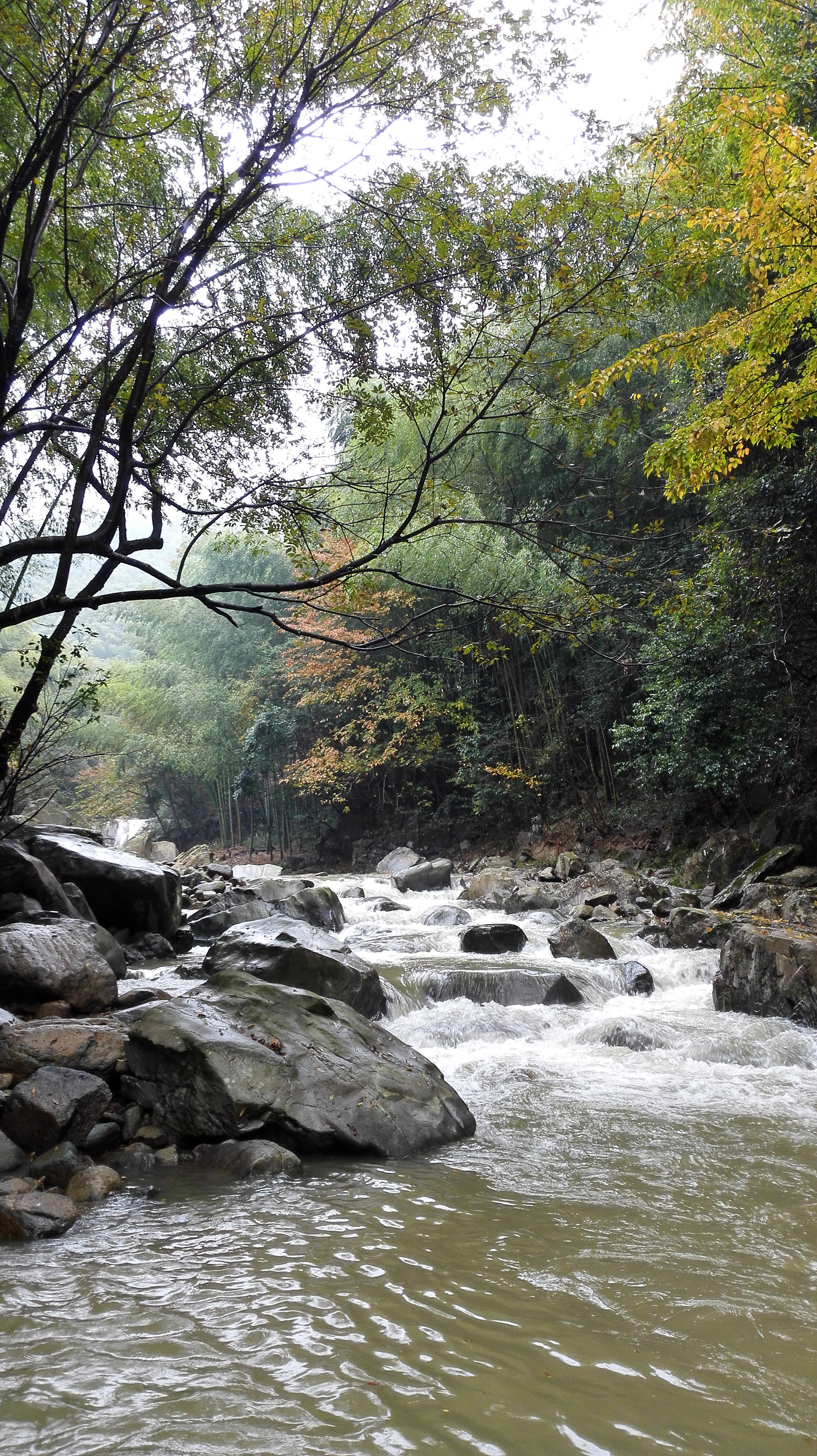 雨后芝林若仙境 - 余姚游记攻略【携程攻略】