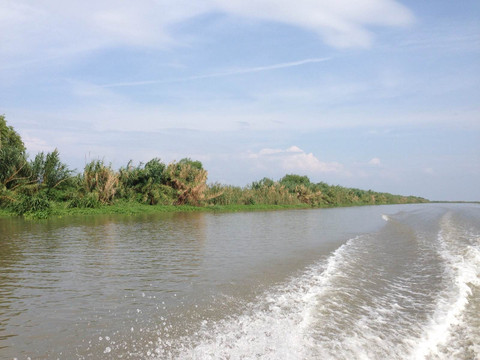 洪湖水呀!浪打浪呀!洪湖岸边是家乡!