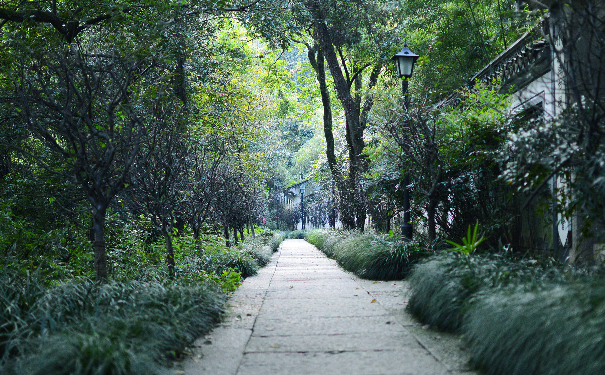 【府山公園】摘自萬能的度娘 紹興府山公園因過去紹興府設在其東而得