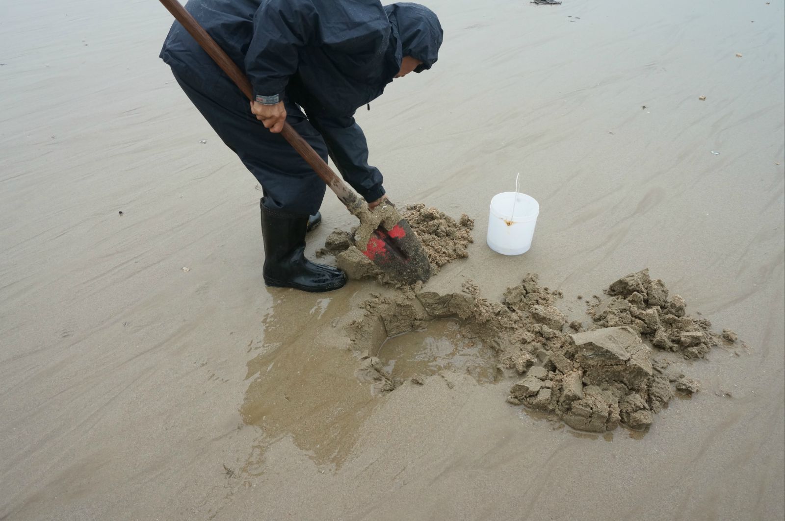 眼快手准,动作迅速,抓沙虫哎 大海啊大海