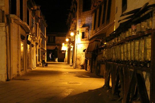 留在拉萨晒太阳【一个人的辞职旅行】(5)