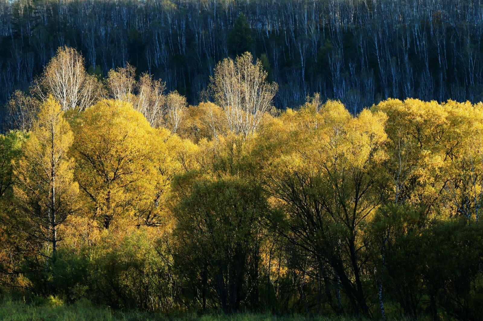 上了一段长坡,再翻越一座不高的山后,看到了夕阳下一派浓浓的秋天画面
