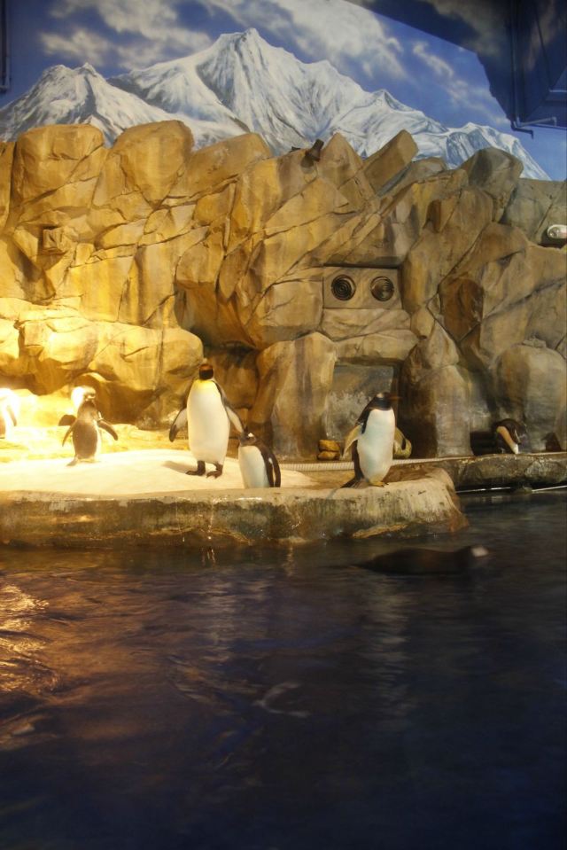 华东华南线(福建广东澳门香港)