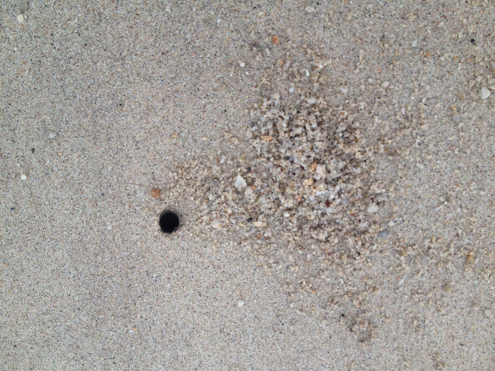 为了更好的回来——槟城&兰卡威 - 马来西亚游记攻略【携程攻略】