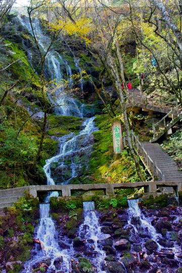 你不知道的秋|神农架(金猴岭篇)