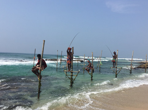 印度洋上的珍珠------魅力锡兰