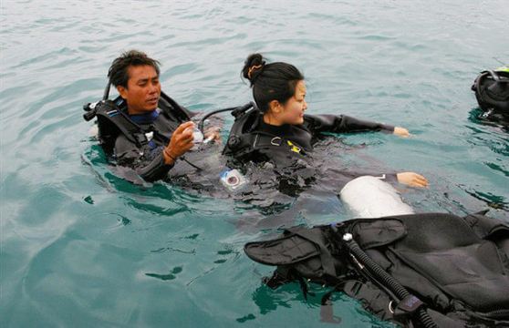2月17日 11:00出海潜水