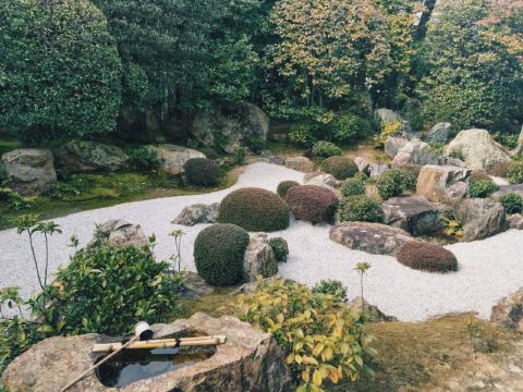 元信之庭 妙心寺退藏院