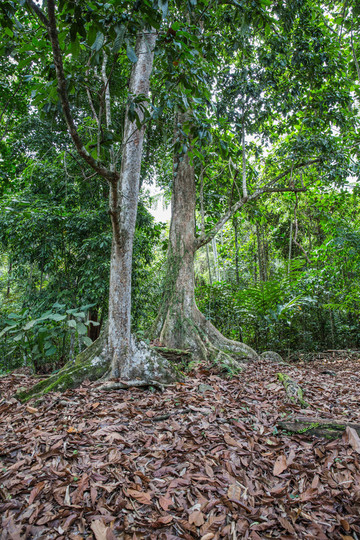 沙巴,给你一场难忘的蜜月旅拍之行!