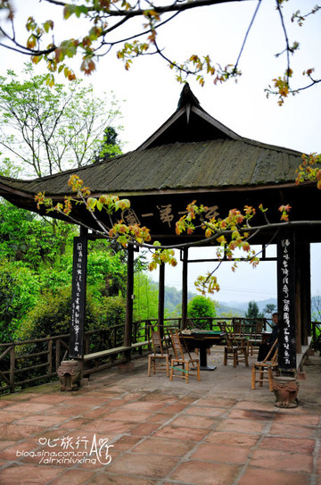 【四川】花楸山 世外茶园 - 邛崃游记攻略【携程攻略】