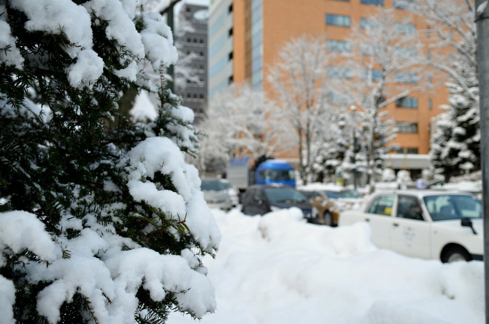 北海道の初雪 北海道雪景温泉11天自助游