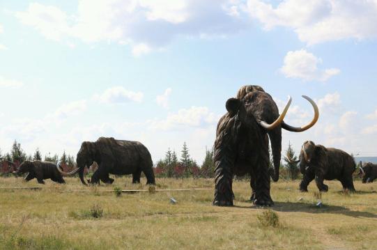 情系呼伦·草原上的独行者