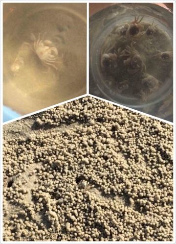 广西国庆南线边境游(自驾)