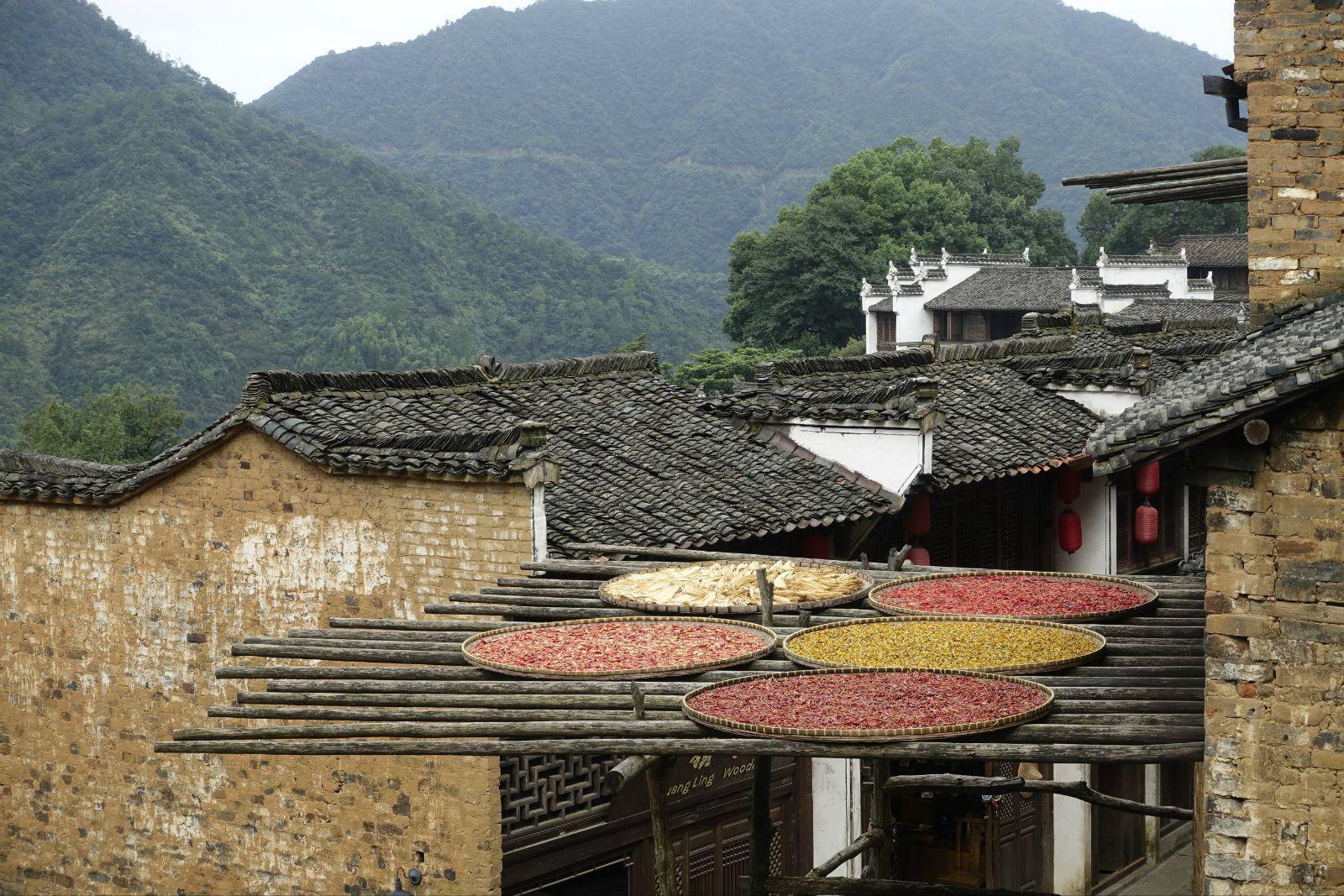 婺源篁嶺旅遊攻略(婺源篁嶺旅遊攻略住宿)