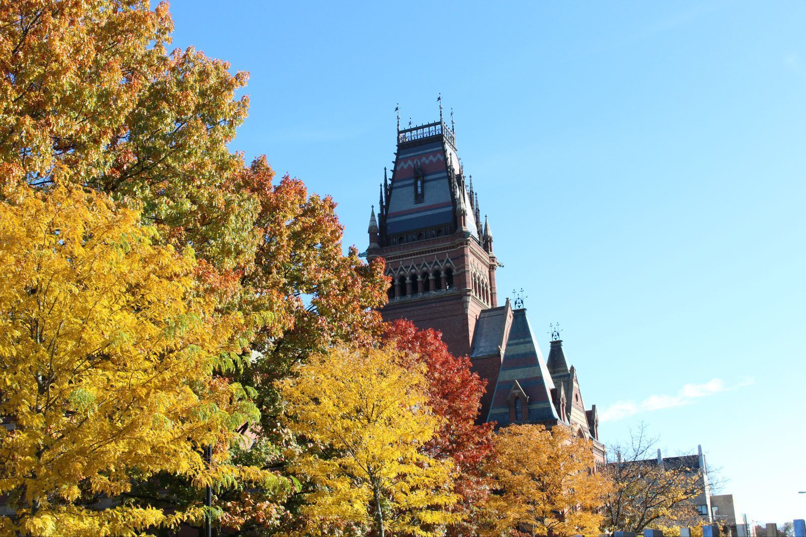 要说城市的美丽度,北京还差的太多. 哈佛大学