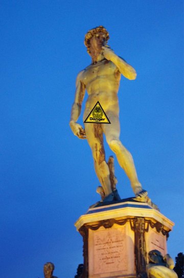 大卫像,这个是米开朗基罗的原作. 米开朗琪罗广场