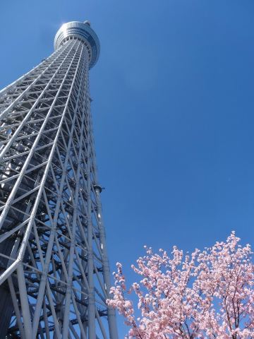 天空树
