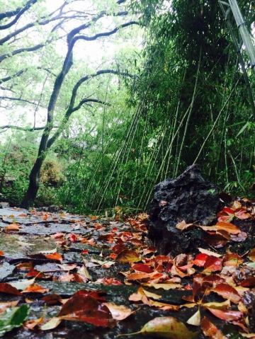 清明时节,烟雨江南——穿梭千年的宁波之旅