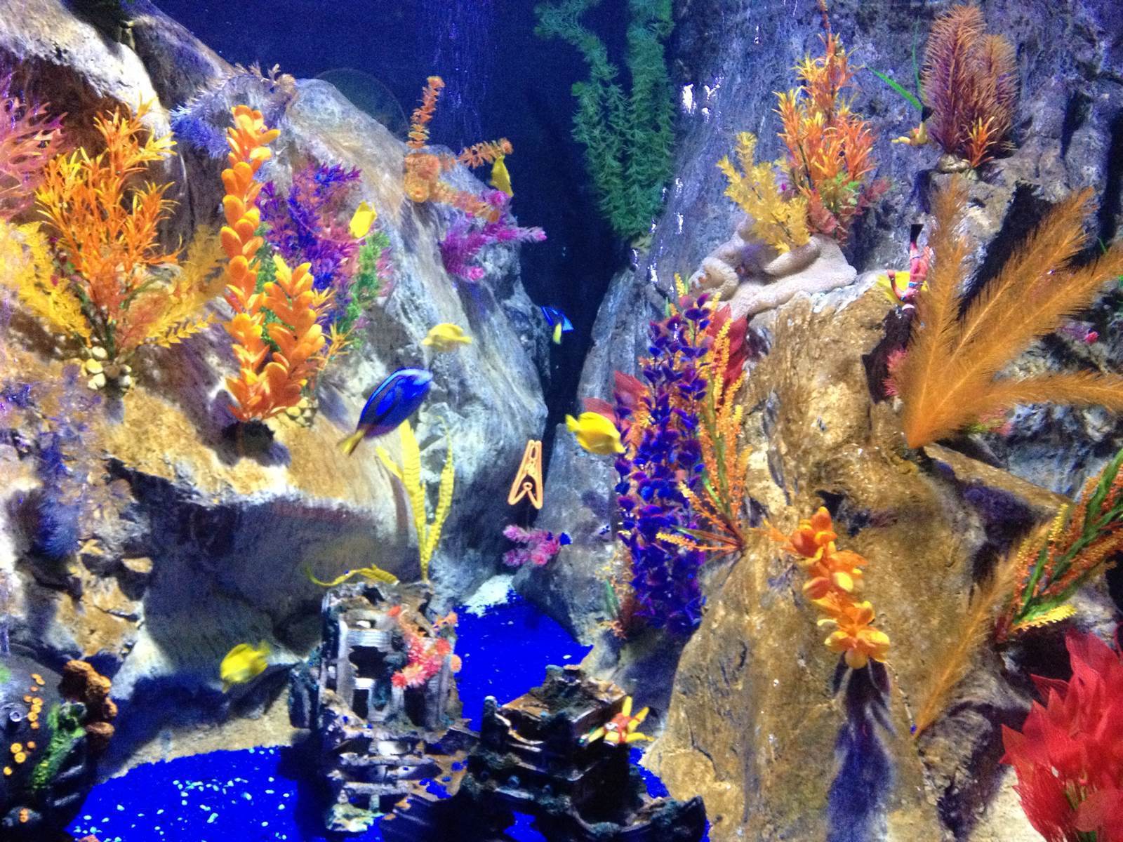 墨爾本水族館